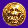 The-Wild-Doubloon